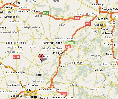 google map